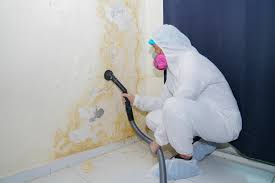 Mold Documentation for Insurance Claims in China Grove, NC